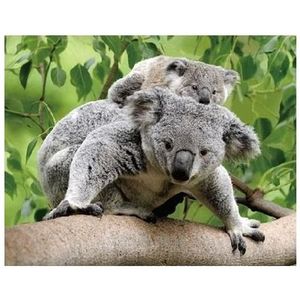 3D koelkast magneetje koalaberen