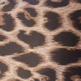 Kaftpapier panterprint/luipaardprint 200 cm