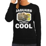 Sweater jaguars are serious cool zwart dames - jaguars/ luipaarden/ luipaard trui