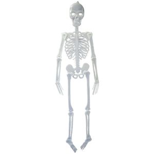 Hangdecoratie skelet glow in the dark 150 cm