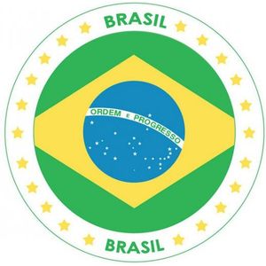 Brazilie thema bierviltjes 25 stuks