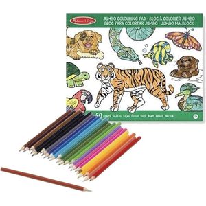 Kleurboek set met kleurpotloden van wilde dieren