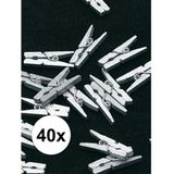 40 kleine zilveren knijpertjes
