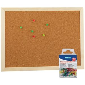 Prikbord/memobord naturel kurk met punaises 40 x 30 cm