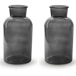 2x Stuks Bloemenvazen - smoke grijs/transparant glas - H20 x D10 cm