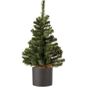 Volle mini kerstboom groen in jute zak 60 cm inclusief donkergrijze pot