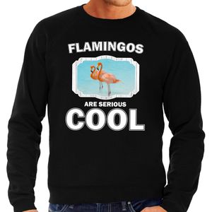 Sweater flamingos are serious cool zwart heren - flamingo vogels/ flamingo trui
