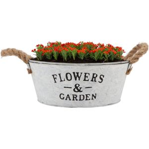DK Design plantenpot/bloempot schaal Jardin- zink - wit - D25 x H11 cm