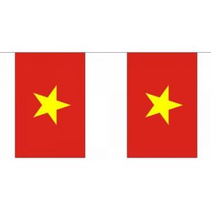 Polyester Vietnam vlaggenlijn 9 m