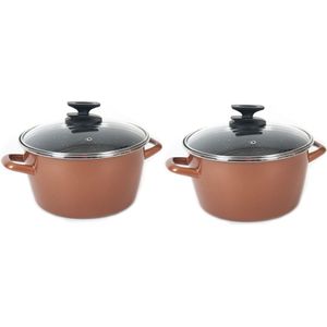 Set van 2x stuks rvs rose kookpan/pannen Burgos met glazen deksel 24 cm 9 liter