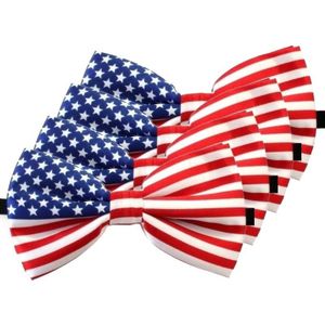 4x Amerika/USA verkleed vlinderstrikje 12 cm voor dames/heren