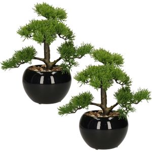 Set van 2x Stuks Atmosphera Bonsai In Keramische Pot 36 cm - Nepplanten