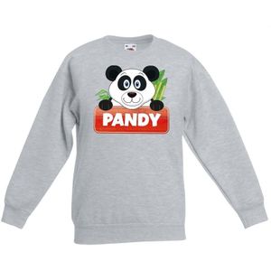 Panda dieren sweater grijs voor kinderen