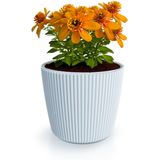 Prosperplast Plantenpot/bloempot Buckingham - 3x - kunststof - lichtgrijs - D14 x H13 cm