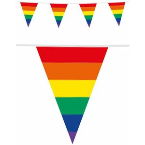 Regenboog thema vlaggenlijn/vlaggetjes 10 meter - Dubbelzijdig bedrukt