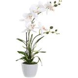 Items Orchidee bloemen kunstplant in witte bloempot - witte bloemen - H45 cm