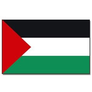 2x stuks gevelvlag/vlaggenmast vlag Palestina 90 x 150 cm