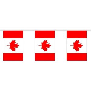 Stoffen vlaggenlijn Canada 3 meter