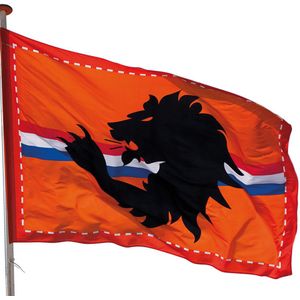 3x Reuze oranje Holland vlag 2 bij 3 meter - Oranje straatversiering
