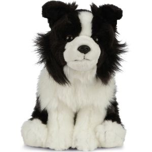 Pluche Border Collie hond knuffeldier zittend 20 cm