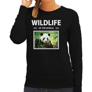 Panda foto sweater zwart voor dames - wildlife of the world cadeau trui Pandas liefhebber