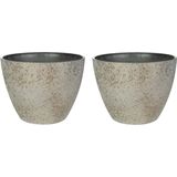 Ter Steege Bloempot/plantenpot - 2x - buiten - beige/goud - D13/H12 cm