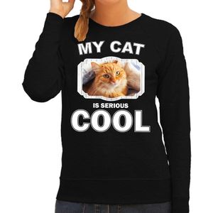 Katten liefhebber trui / sweater Rode kat my cat is serious cool zwart voor dames