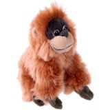 Pluche knuffel Orang Oetan 13 cm