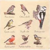 40x Papieren servetten met vogels print 33 x 33 cm