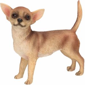 Bruine Chihuahua decoratie beeldje 10 cm