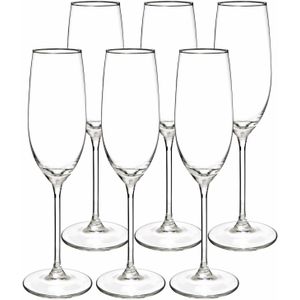 Secret de Gourmet Champagneglazen set Lina - doosje 24x stuks - chique glas - 21 CL
