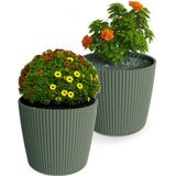 Prosperplast Plantenpot/bloempot Buckingham - 2x - kunststof - dennen groen - 39 x 34 cm