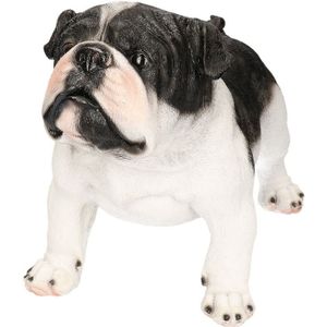 Polystone tuinbeeld zwart/witte Engelse Bulldog 41 cm