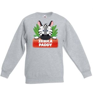 Zebra dieren sweater grijs voor kinderen