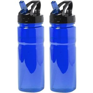 2x Drinkfles/waterfles blauw met schroefdop 650 ml