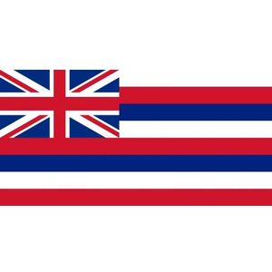 Vlag Hawaii 90 x 150 cm
