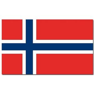 Gevelvlag/vlaggenmast vlag Noorwegen 90 x 150 cm