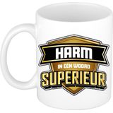 Bellatio Decorations Naam mok Harm - superieur - 30cl - kado beker