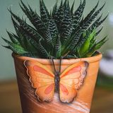 Pro Garden tuindecoratie bloempothanger vlinder - kunststeen - oranje/rood- 13 x 10 cm