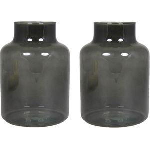 Set van 2x bloemenvazen - smoke grijs/transparant glas - H20 x D15 cm