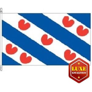 Vlag van Friesland 100 x 150 cm