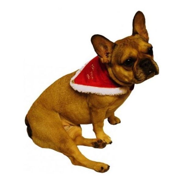 Kerst sjaal / halsband - voor honden - rood - velours (dierenbenodigdheden) | € 4 bij Shoppartners.nl | beslist.nl
