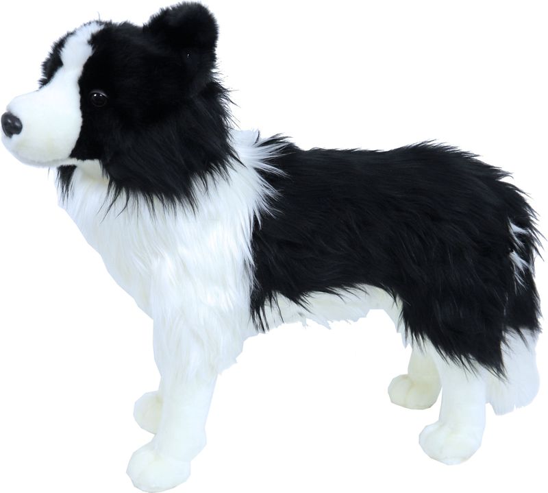 Grote pluche Border Collie hond - zwart/wit - 53 cm - staand