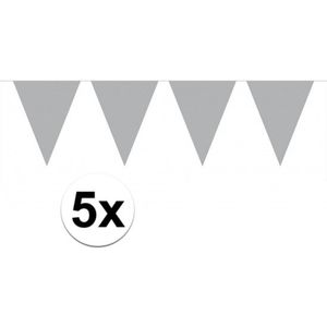 5x vlaggenlijnen zilver kleurig 10 m