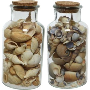 Deco schelpen in glazen pot - 2x stuks - D8 x H16 cm - bruin