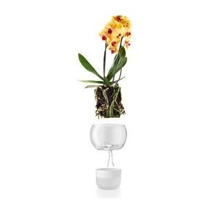 Eva Solo Bloempot met Bewateringssysteem Orchid 15 cm