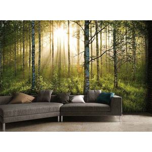 FEDEC Muurposter bossen - 232 x 315 cm - Inclusief bevestiging