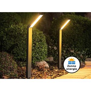 2 FlinQ Solar Tuinlampen met sensor