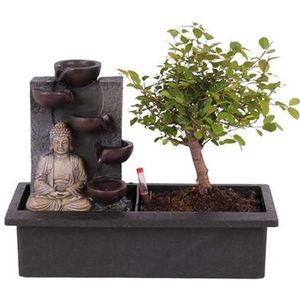 Bonsai met waterval 'Buddha'