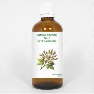 Balancepharma - Gemmo Simplex 2 - Kruidenpreparaat - Alcohol 20% - Acer Campestre